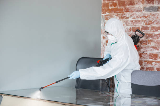 Best Industrial Mold Remediation  in USA