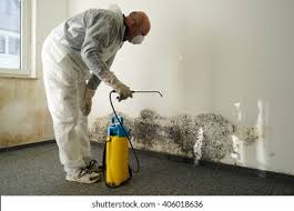 Best Residential Mold Inspection & Testing  in USA